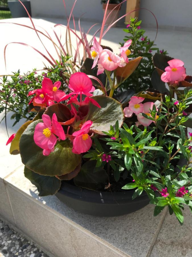 Apartment Green Paradise 모라브스케토플리체 외부 사진